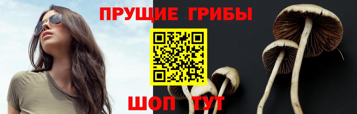 Галлюциногенные грибы GOLDEN TEACHER  Вход с VPN  Дзержинск 